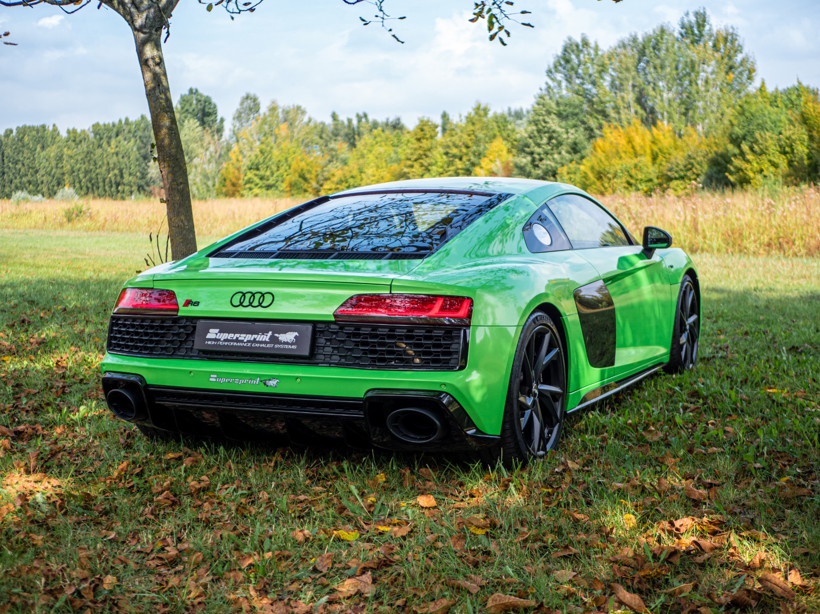 Impianto di scarico per AUDI R8 Performance Coupé 5.2 FSI V10 (620 Hp - Modelli con GPF) 2019 ->