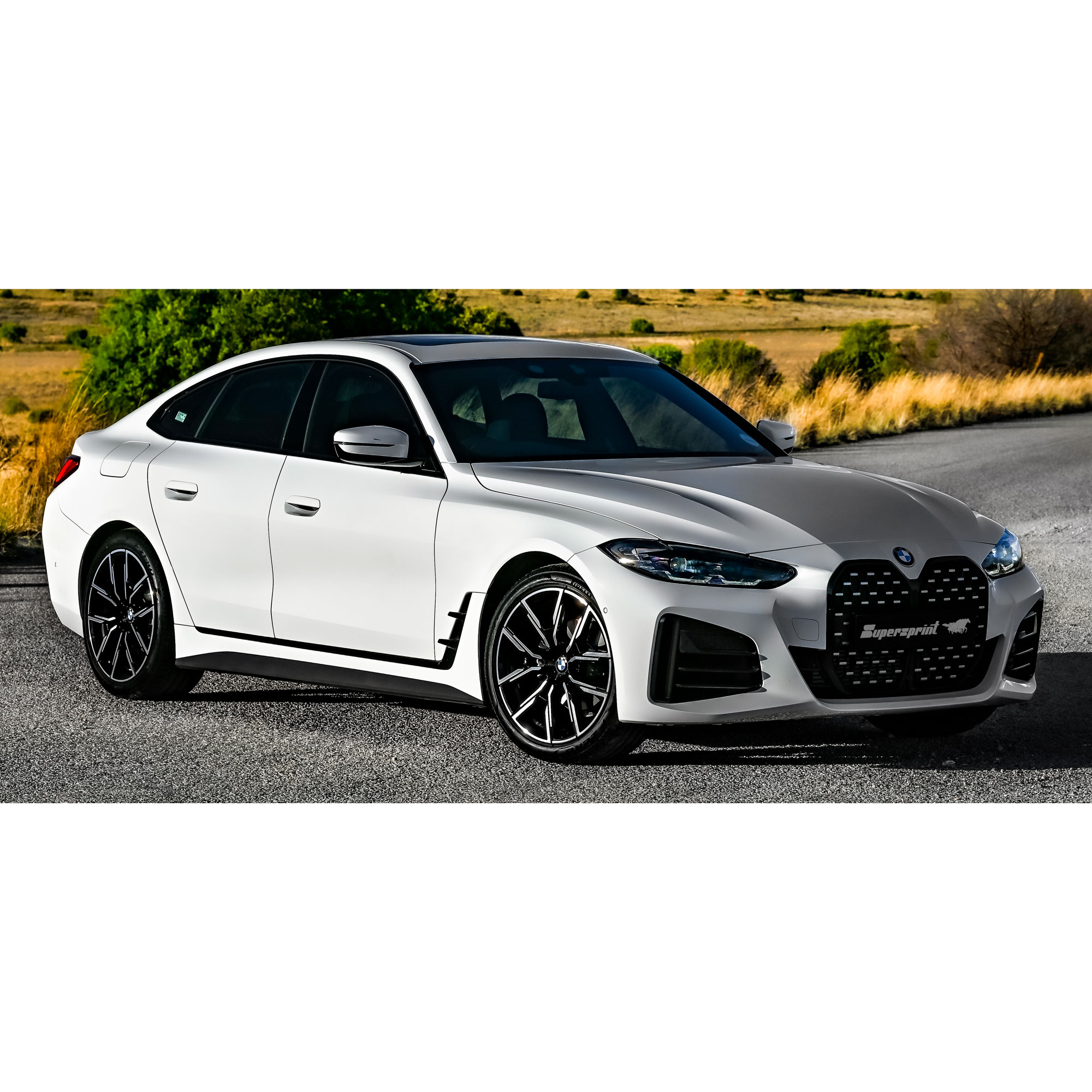 BMW G26 Gran Coupé 420i 2.0T (B48 184 Hp - Modelli con OPF) 2021 ->